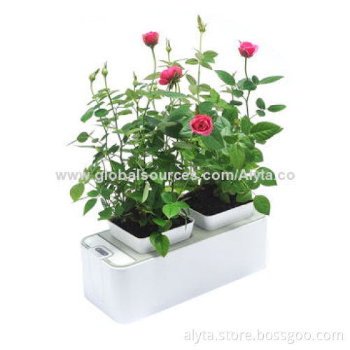 Plastic greenhouse kits, can be used for kitchen herb planter